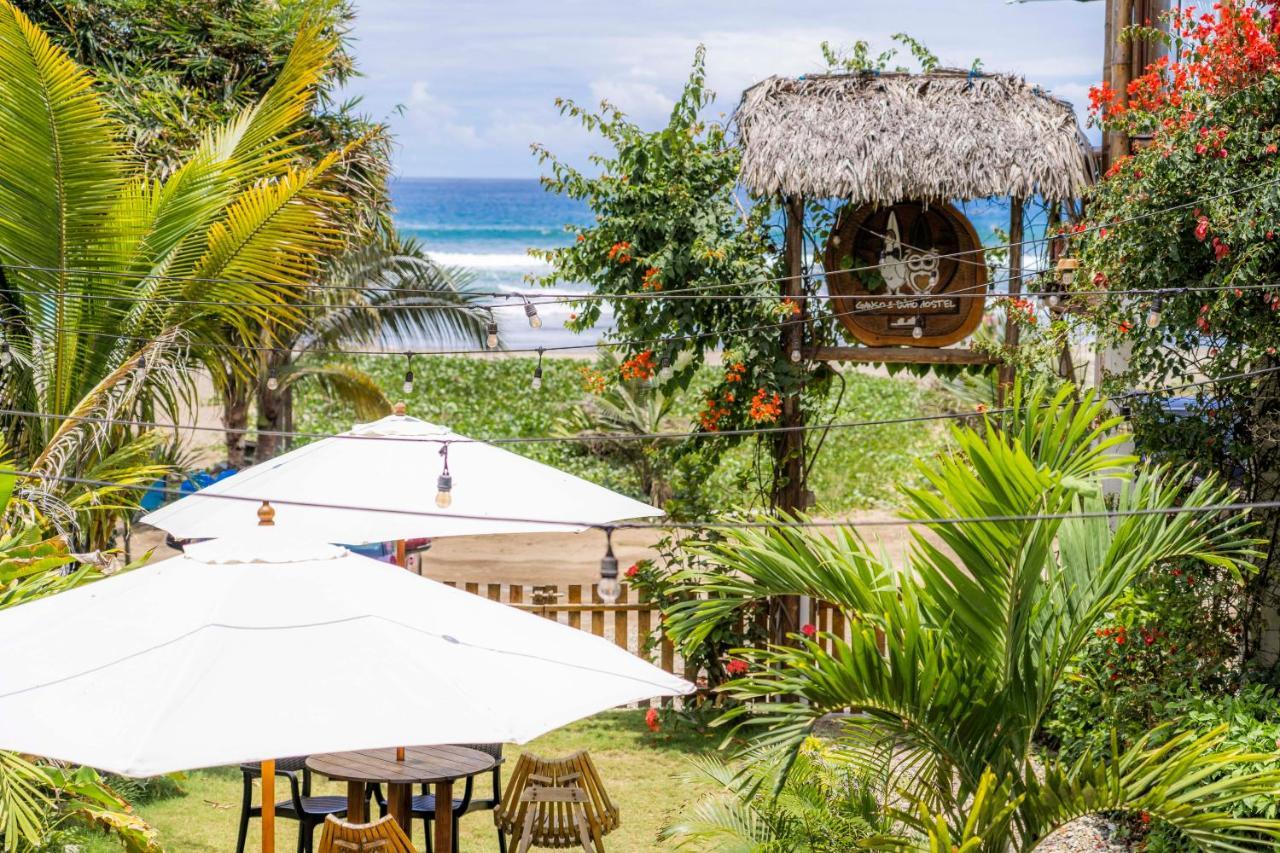 Ganso & Buho Hotel Ayampe Eksteriør billede