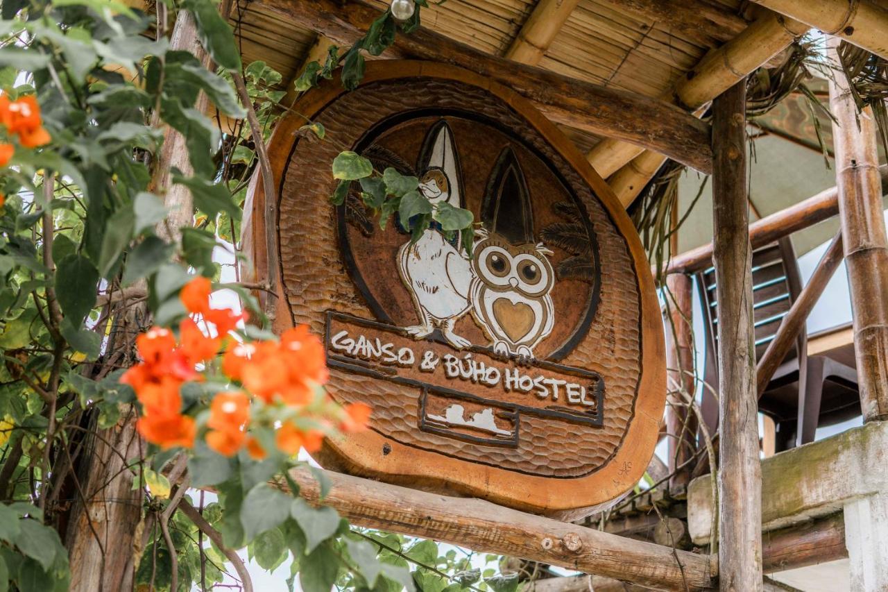 Ganso & Buho Hotel Ayampe Eksteriør billede